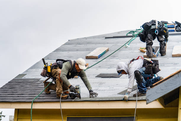 Professional Gutter Installation technician working in Tellico Plains, TN